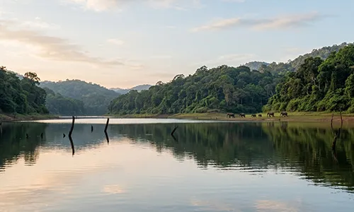 Kerala Thekkady tour packages from Hyderabad